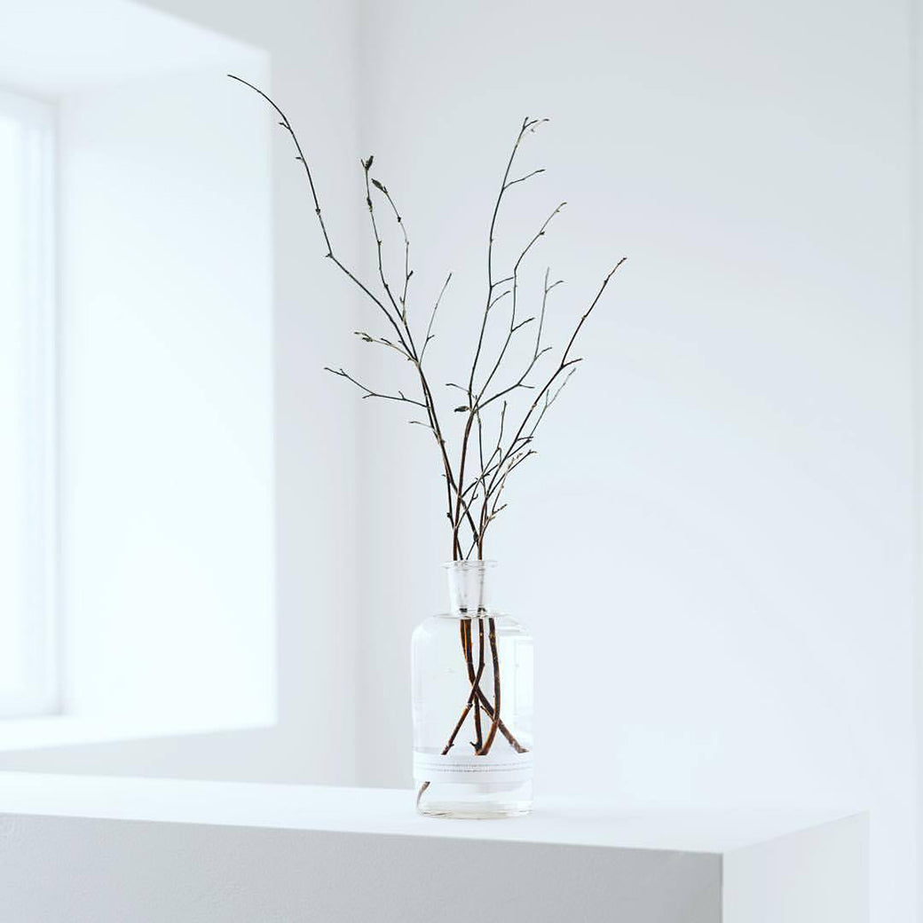 Odai 森林擴香禮盒組-日本山茶花 ビンとリード (Himeshara)