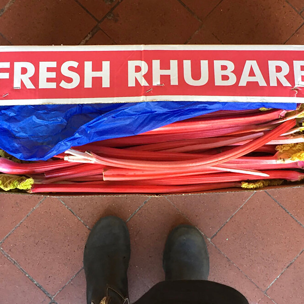 LBJ英國大黃&荳蔻果醬 RHUBARB & CARDAMOM