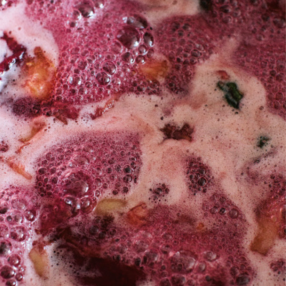 LBJ覆盆子&扶桑花果醬 RASPBERRY & HIBISCUS FLOWER