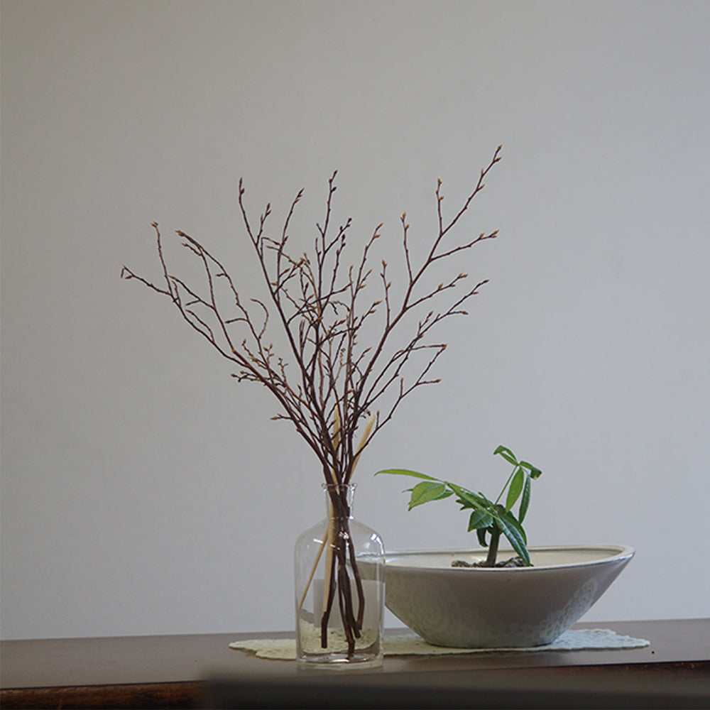 Odai 森林擴香禮盒組-日本山茶花 ビンとリード (Himeshara)